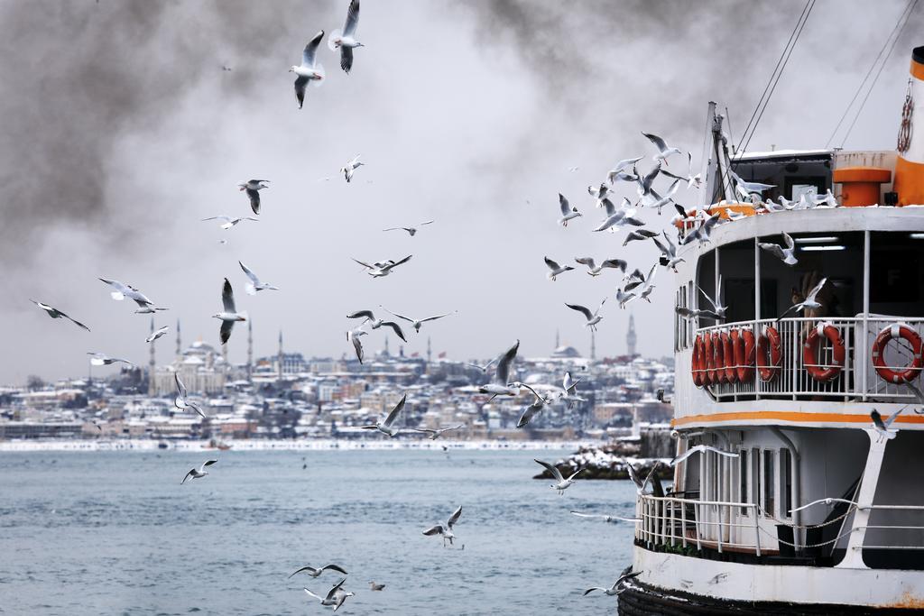 فندق 10 كاراكوي اسطنبول المظهر الخارجي الصورة The Bosphorus in winter